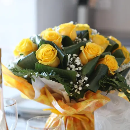 T3 Confort A 20 Metres *